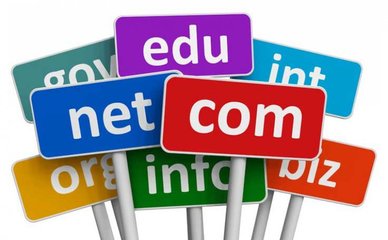 新闻资讯网站开发 从零到一的网页制作指南